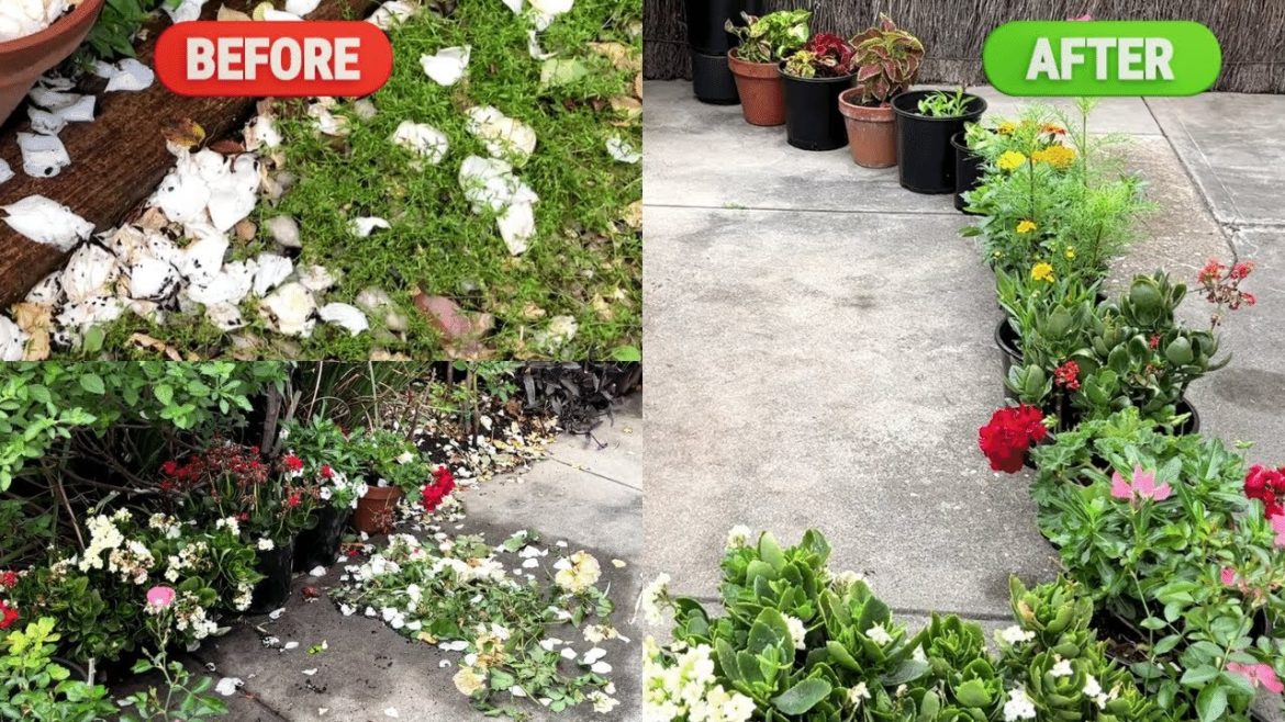 Grooming My Plants After a Heavy Storm | My Weekend Gardening