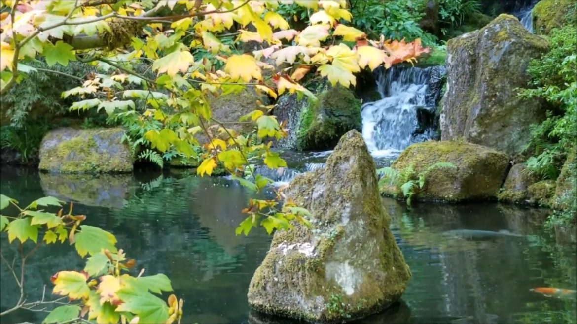 Japanese Garden - Portland - Water Features