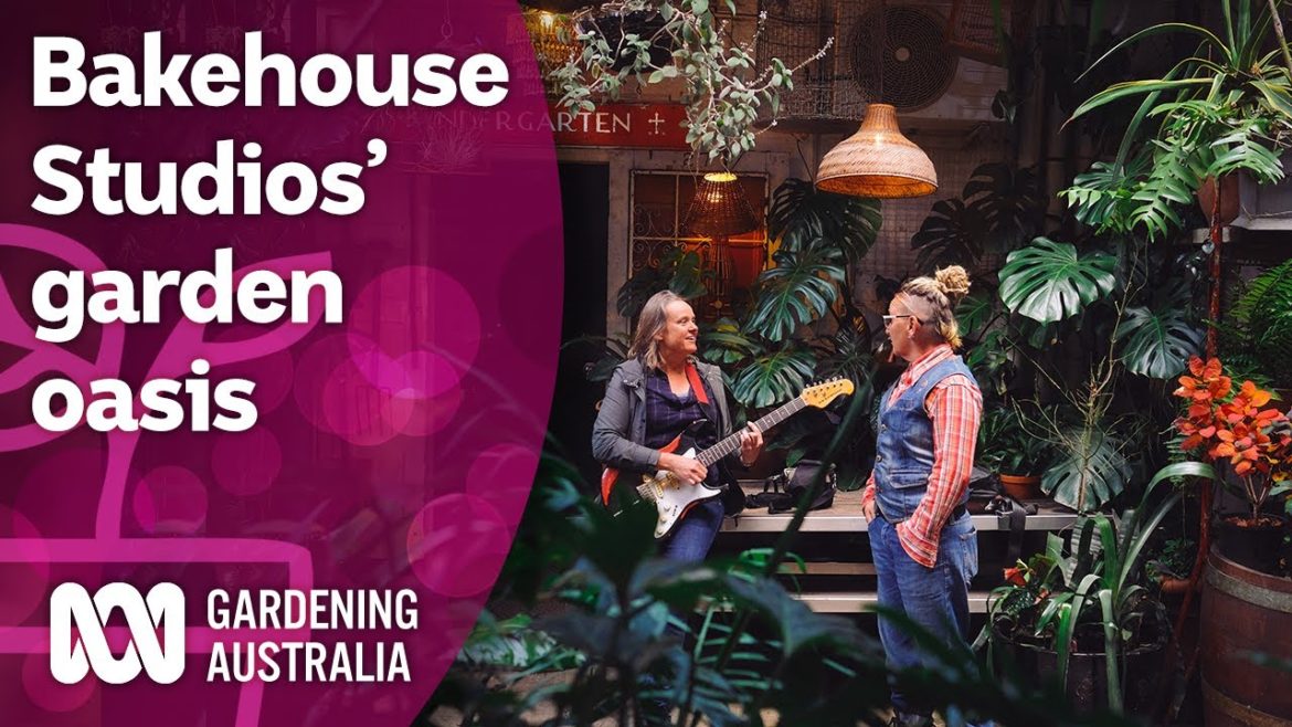 Touring Bakehouse Studios lush garden recording space | Discovery | Gardening Australia