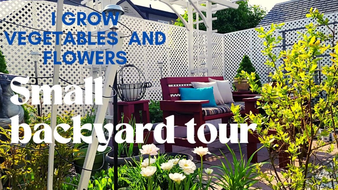 SPRING SMALL BACKYARD GARDEN TOUR MAY 2022 | I GROW VEGETABLES AND FLOWERS | ZONE 5A CANADA SPRING SMALL BACKYARD GARDEN TOUR MAY 2022 | I GROW VEGETABLES AND FLOWERS | ZONE 5A CANADA