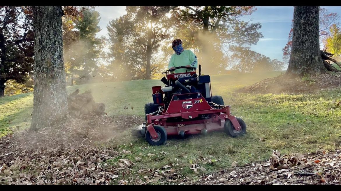 These lawns are dusty!