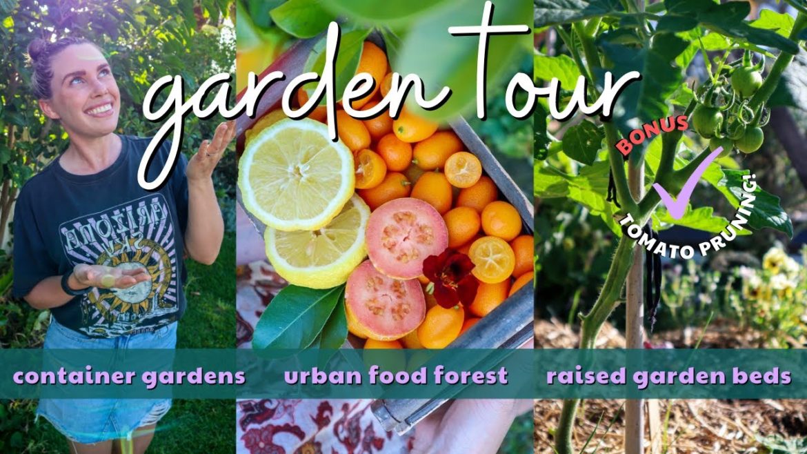 Explore x3 Different Edible Garden Styles ๐ฟ Urban Permaculture Garden Tour November Explore x3 Different Edible Garden Styles ๐ฟ Urban Permaculture Garden Tour November