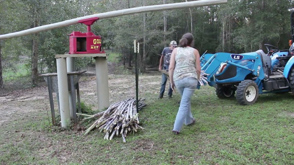 HOMEMADE Cane Syrup - From Planting to Syrup - The Past 5 years Compilation