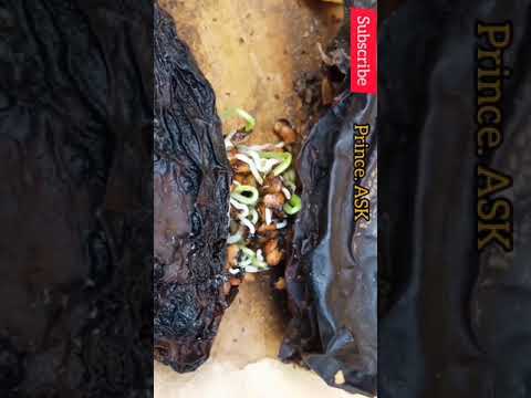 மழையில் தானாக முளைத்த கத்திரிக்காய் விதைகள், How to Grow Seeds Indoors – The Ultimate Guide #shorts மழையில் தானாக முளைத்த கத்திரிக்காய் விதைகள், How to Grow Seeds Indoors - The Ultimate Guide #shorts