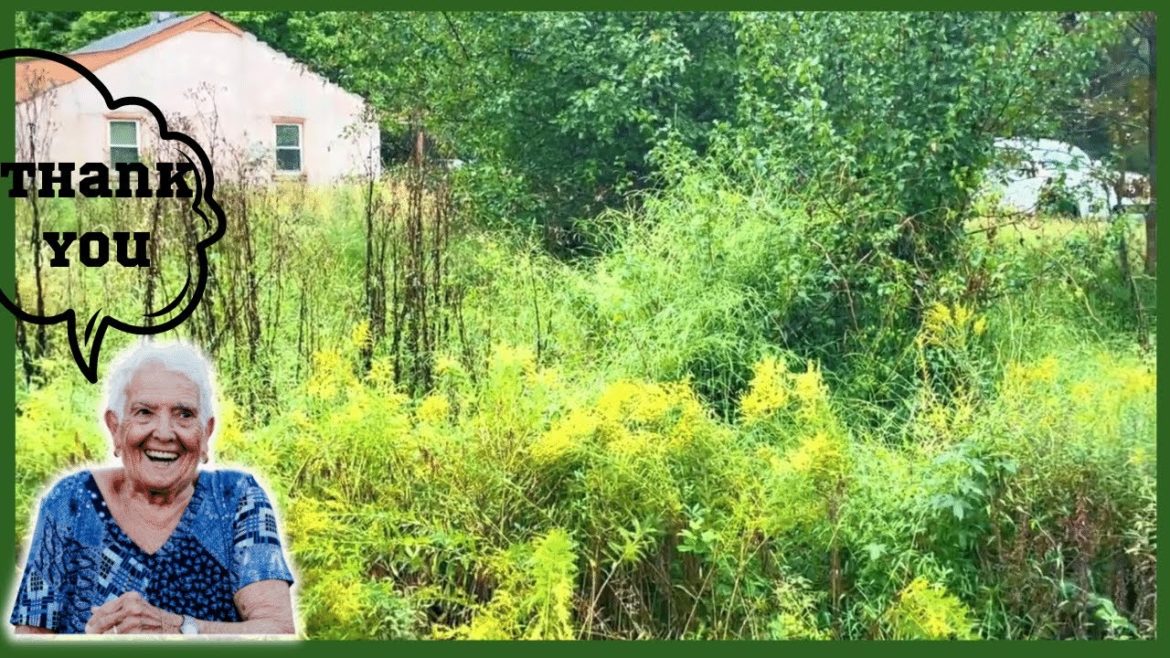 Homeowner was EXTREMELY Grateful For How We Got Her Property Back In ORDER Homeowner was EXTREMELY Grateful For How We Got Her Property Back In ORDER