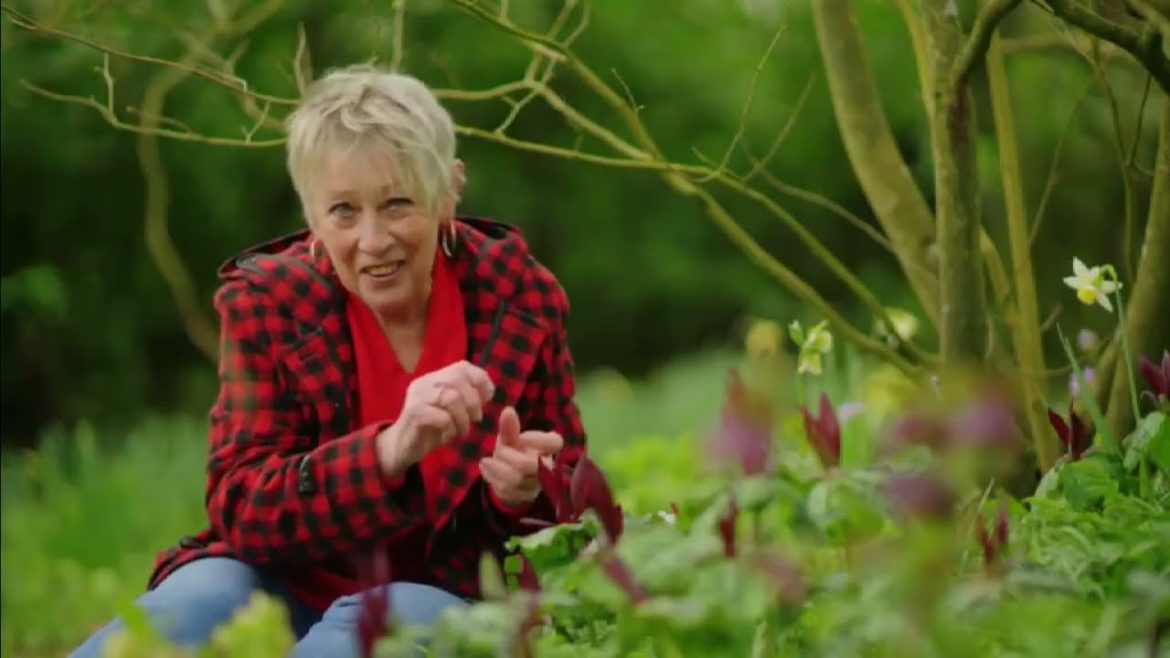 Spring Gardening with Carol Klein🍀Episode 2
