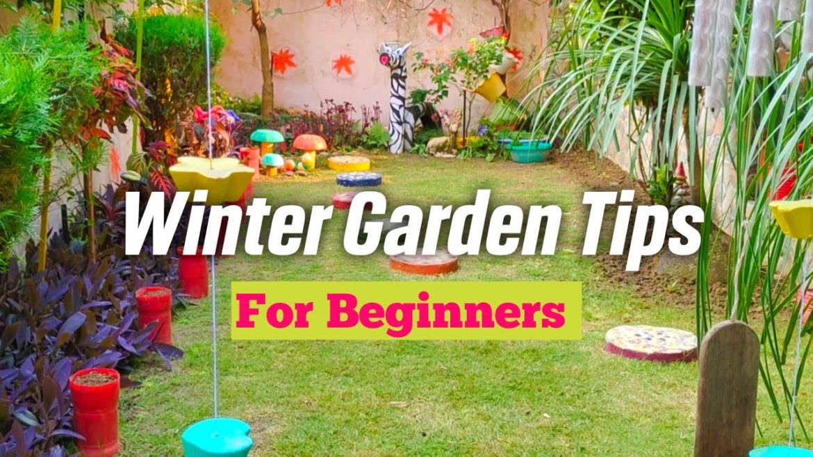 कैसे करे सर्दियों में बगीचे की तैयारी | How To Prepare Winter Garden | #gardening #ideas #winter कैसे करे सर्दियों में बगीचे की तैयारी | How To Prepare Winter Garden | #gardening #ideas #winter