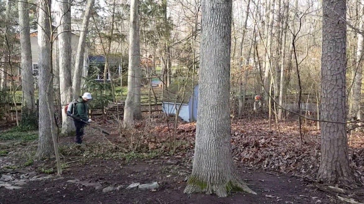 Clearing debris from backyard – Landscaping Clearing debris from backyard - Landscaping