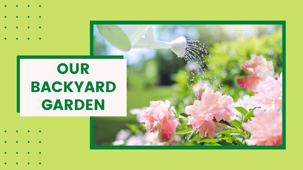 Our backyard garden tour 2020 | Ottawa, Ontario 🧑‍🌾