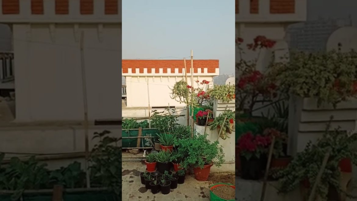 Please suggest #naturetreasure