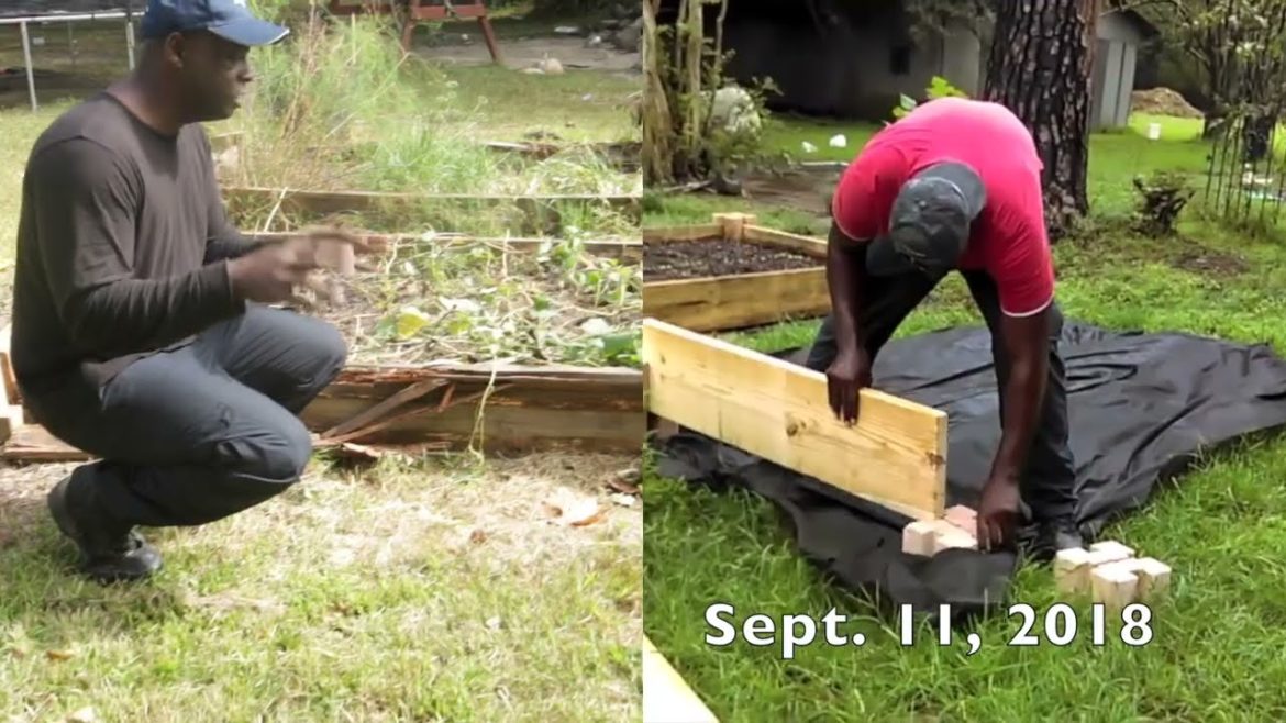 How Long Will Your Raised Beds Last?| Raised Bed Update 3-4 years Later