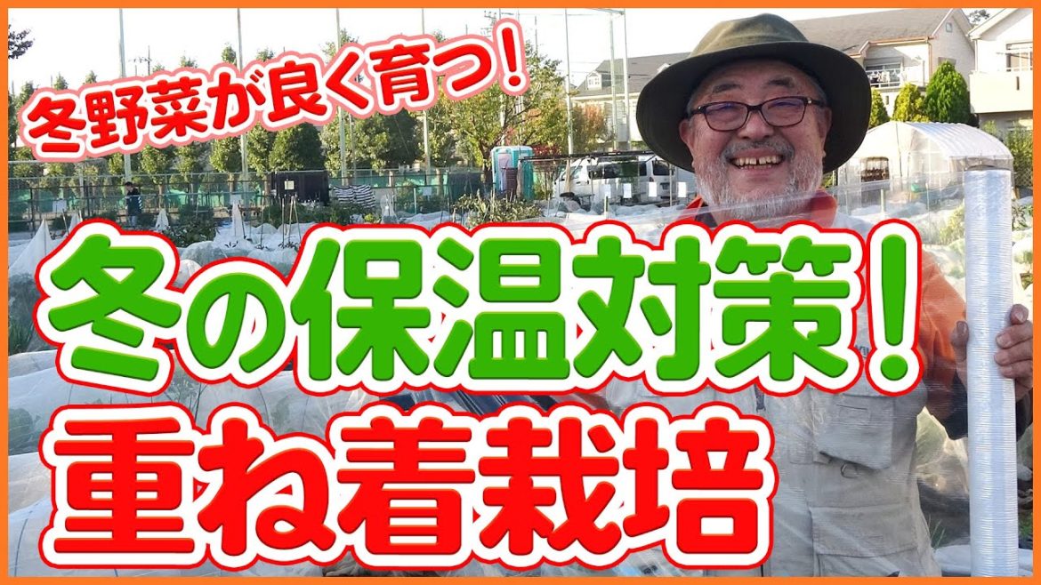 家庭菜園や農園の冬野菜栽培は野菜も重ね着!?ワンランクアップする保温対策は重ね着栽培!/Tips for heat-retaining cultivation from Japanesefarmers 家庭菜園や農園の冬野菜栽培は野菜も重ね着!?ワンランクアップする保温対策は重ね着栽培!/Tips for heat-retaining cultivation from Japanesefarmers