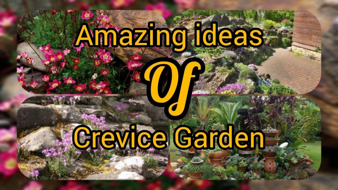 BEST CREVICE GARDEN FOR YOU | Garden Aesthetic