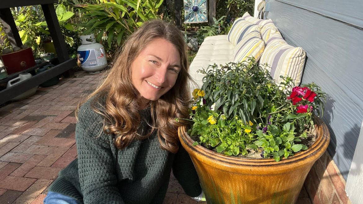 Easy Winter Interest Container