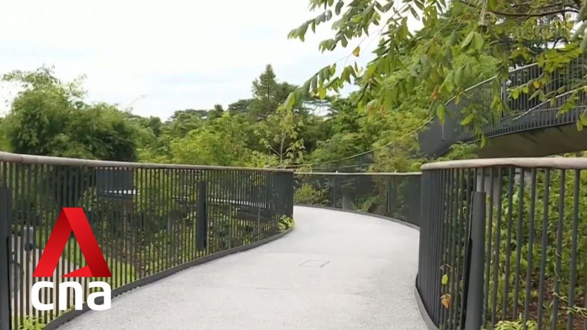 New bridge at Singapore Botanic Gardens improves accessibility