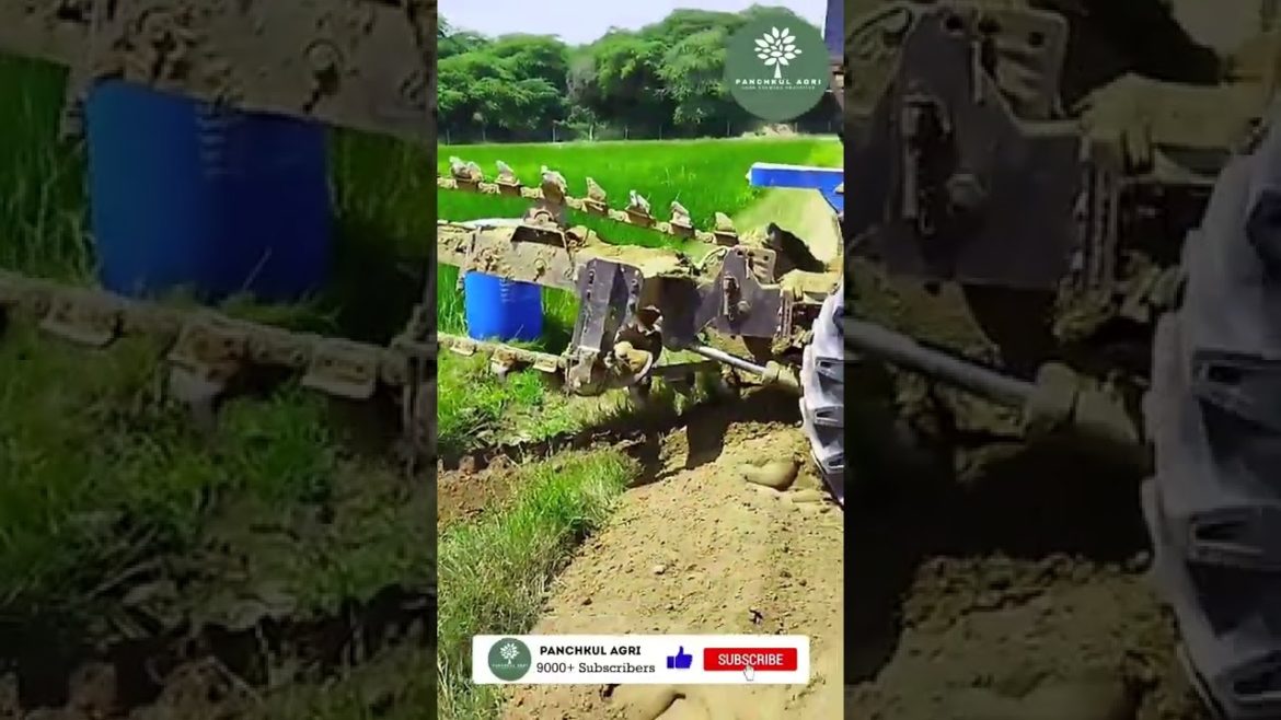 Tractor | Panchkul Agri | Permaculture | Shorts Tractor | Panchkul Agri | Permaculture | Shorts