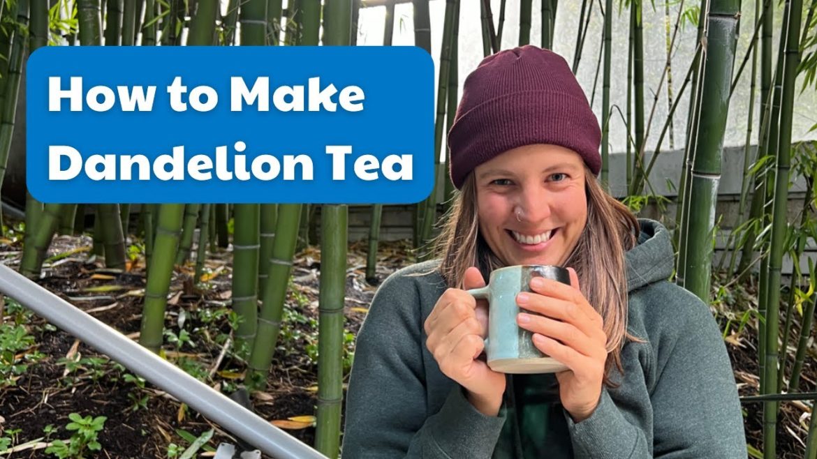 How to Make Dandelion Tea: A Simple Guide How to Make Dandelion Tea: A Simple Guide