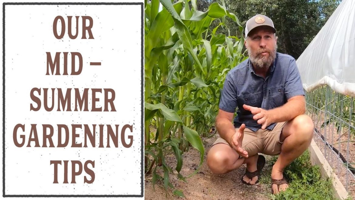 GARDENING TIPS FOR THE HOT SUMMER (+ WEEDING AND WATERING STRATEGIES)