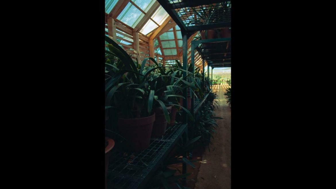 Landscape Desing ideas Best ideas for  garden and landscape #56234 #shorts 1290