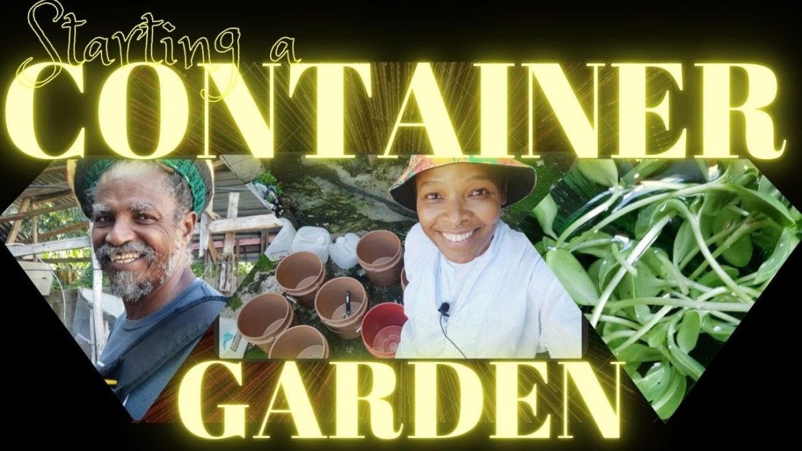 Starting a Container Garden | A Simple Life #29 | #minimalism #livity #simpleliving