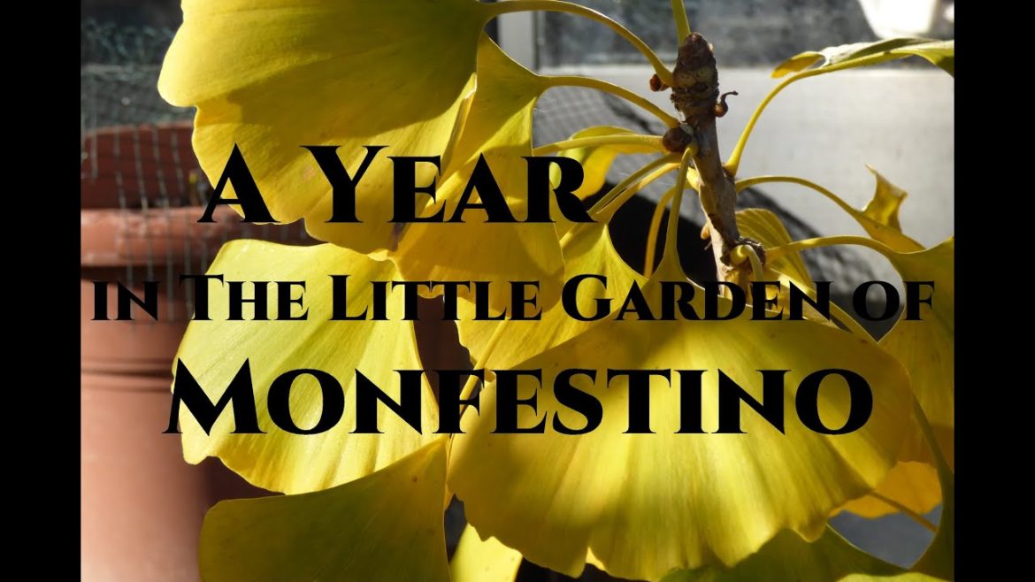 Winter Specials 2022/23  Gardeners' World A Year in the Little Garden of Monfestino