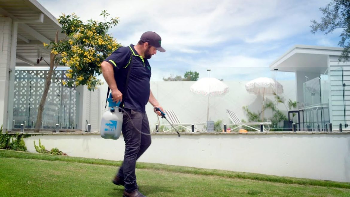 The Garden Gurus - Lawn care tips: Fertillising