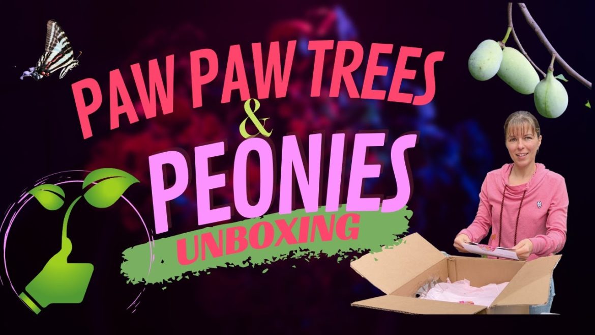 Native Paw Paw Trees // Peonies For My New Cutting Garden // Unboxing My Fall Purchases