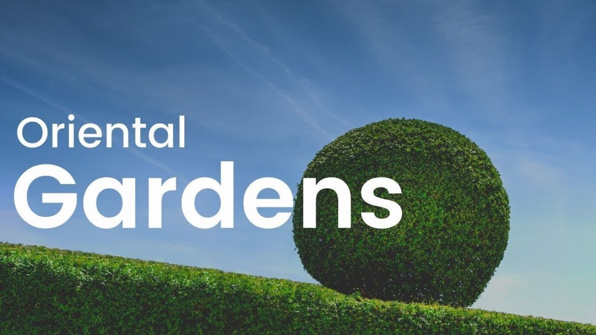 Oriental Gardens- Landscaping options Oriental Gardens- Landscaping options
