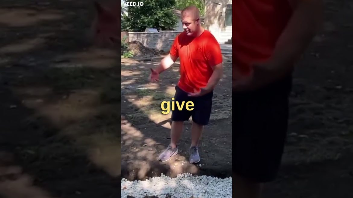 How Proper Landscaping Can Do To Your Yard!