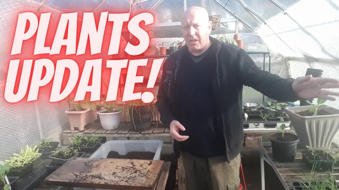 Gardening Allotment UK [Grow Vegetables At Home ]