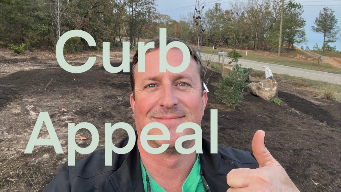 Landscape Makeover | Placing HUGE rocks 🪨