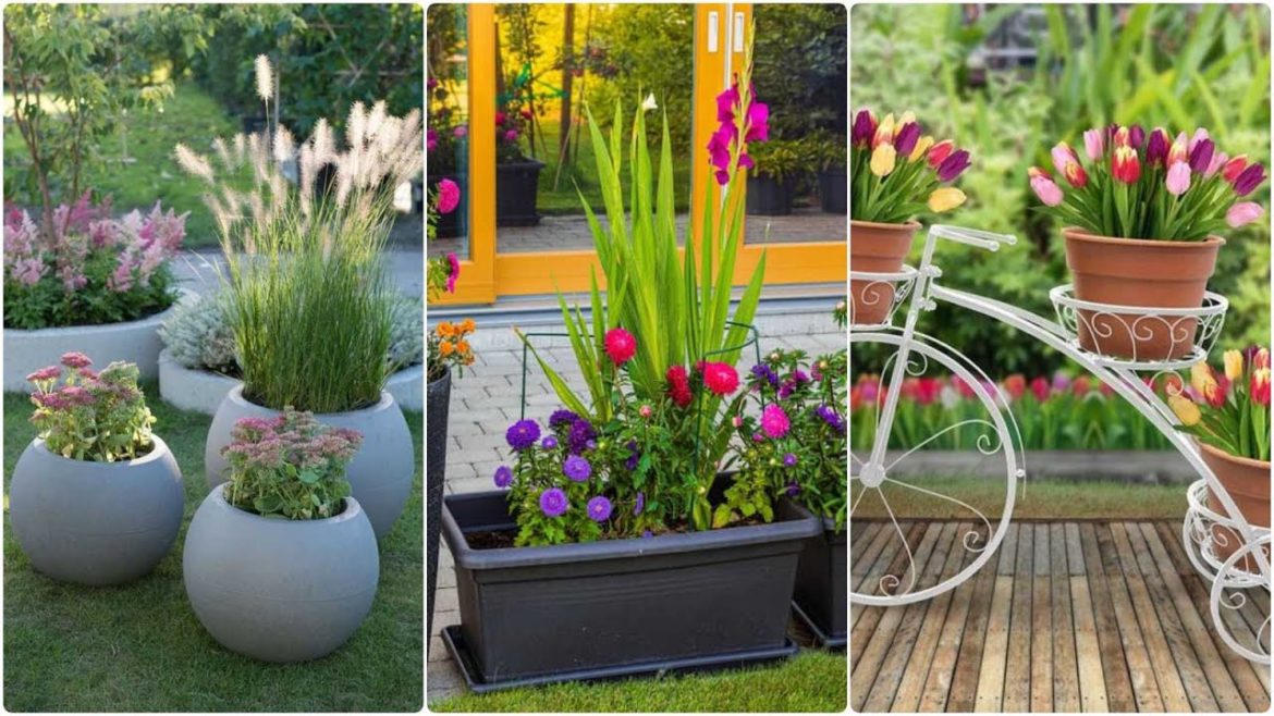 50 Beautiful Garden Design/Creative design