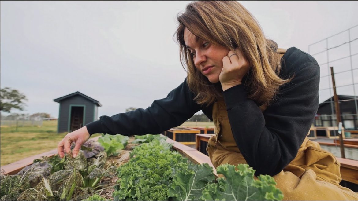 Roots and Refuge Farm: During the garden off-season (absence makes the heart grow fonder) | VLOG During the garden off-season (absence makes the heart grow fonder) | VLOG