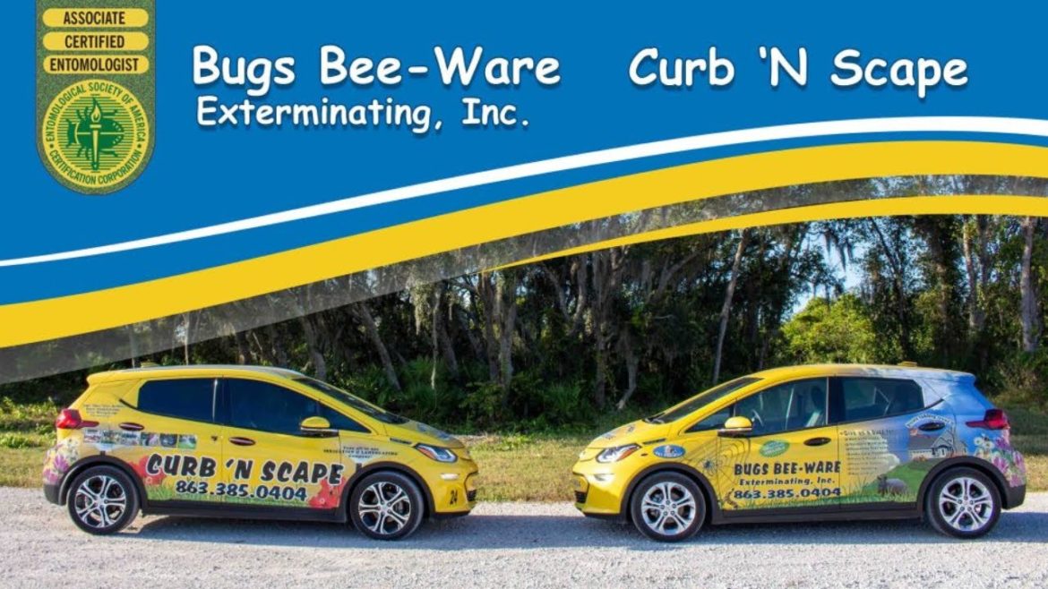 🐜  Mi Nuevo Trabajo ❓ 🐛  Bugs - Bee - Ware 🪲 #marioydally #lawncare #landscaping