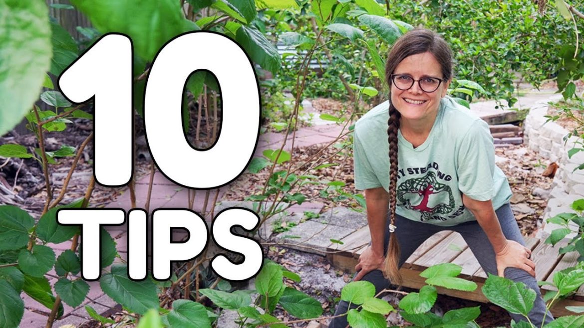 Permaculture Forest Garden Design - Top Ten Tips