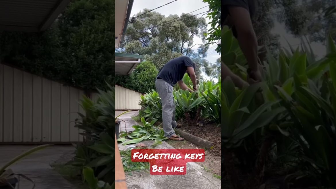 No Keys? No Worries😃😃😃 gardeningorganic gardeningFlowers