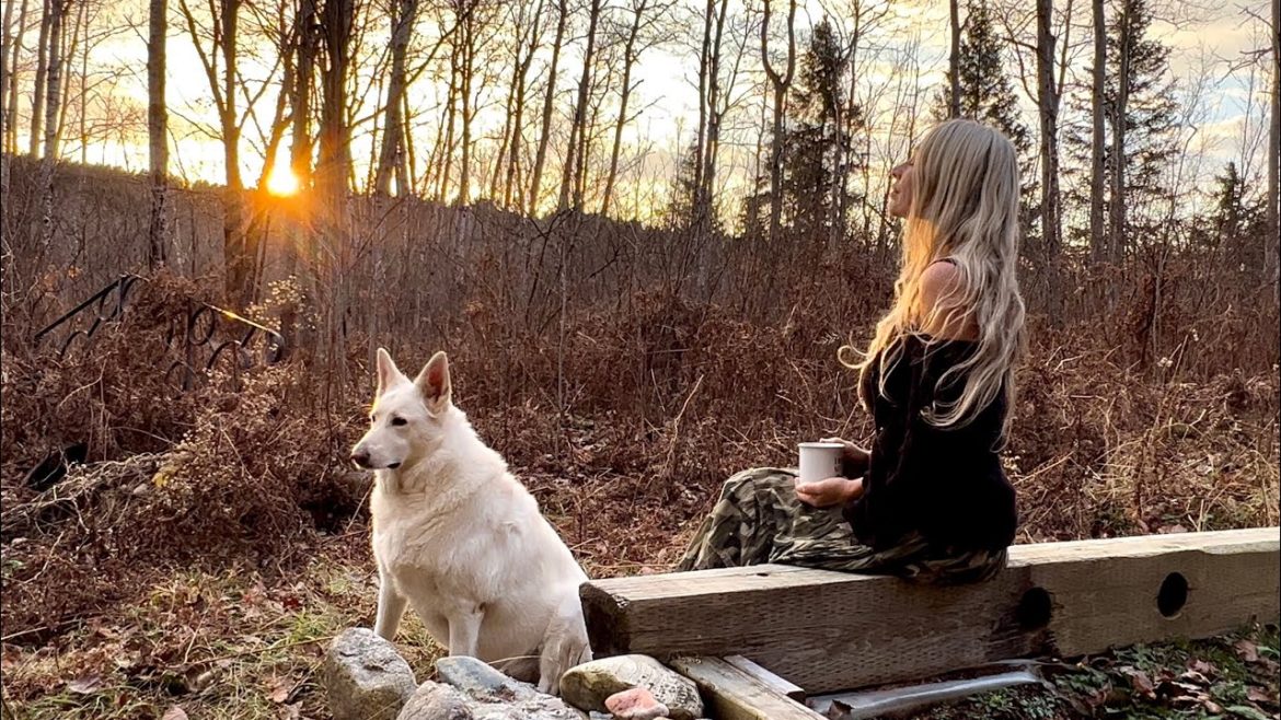 New Off Grid Generator Shed Building Project and more!