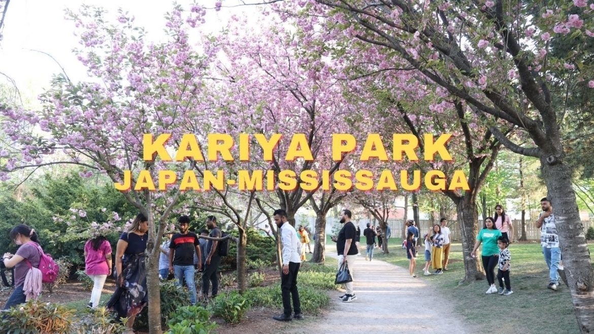 Why many people does not know this Beautiful Japanese Garden in MISSISSAUGA exist  May 2022