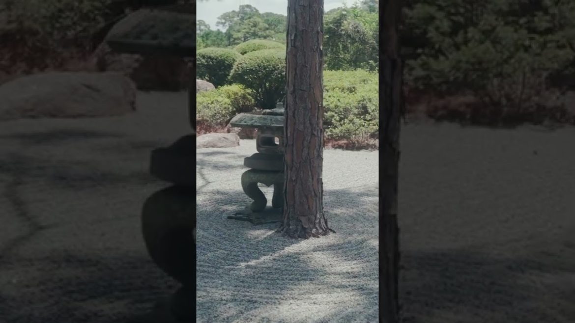 Japanese Rock Garden Inspiration Japanese Rock Garden Inspiration