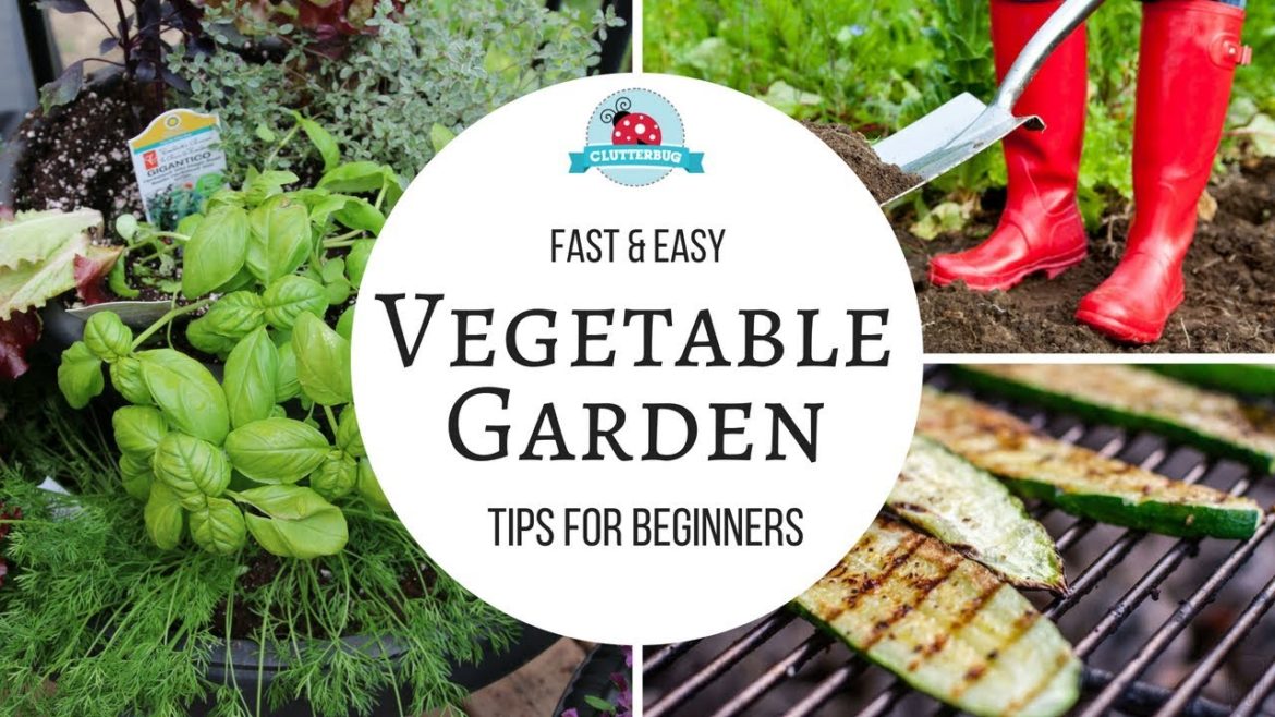 How to Grow a Vegetable Garden - Easy Tips for Beginners
