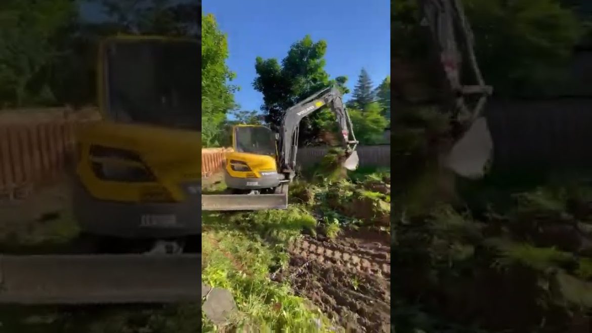 Action Home Services | Landscape Contractor | Backyard Landscape Preparation | Toronto and the GTA Action Home Services | Landscape Contractor | Backyard Landscape Preparation | Toronto and the GTA