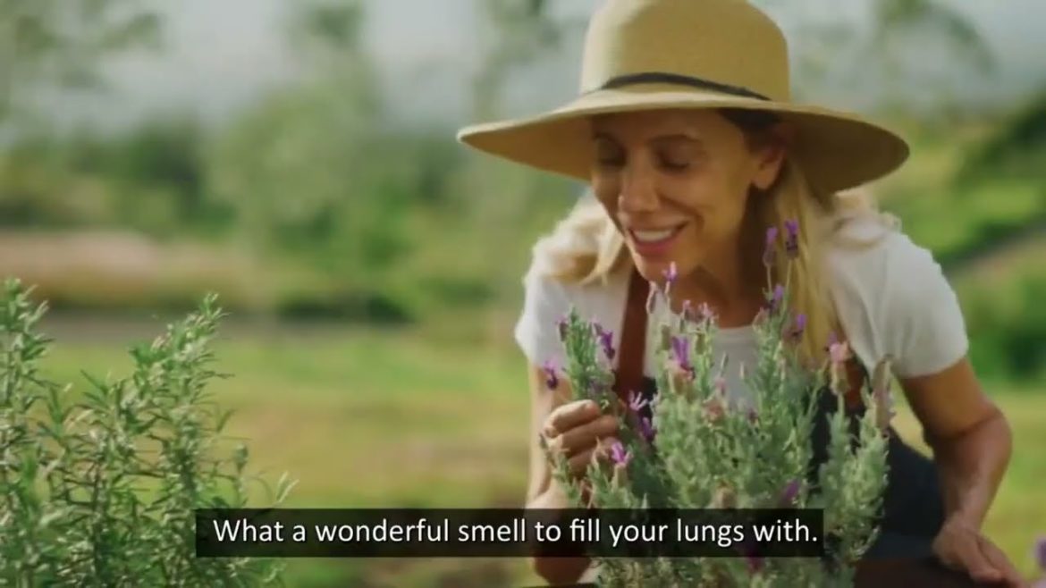 Medicinal Garden Kit: A Complete Natural Pharmacy In Your Backyard Medicinal Garden Kit: A Complete Natural Pharmacy In Your Backyard