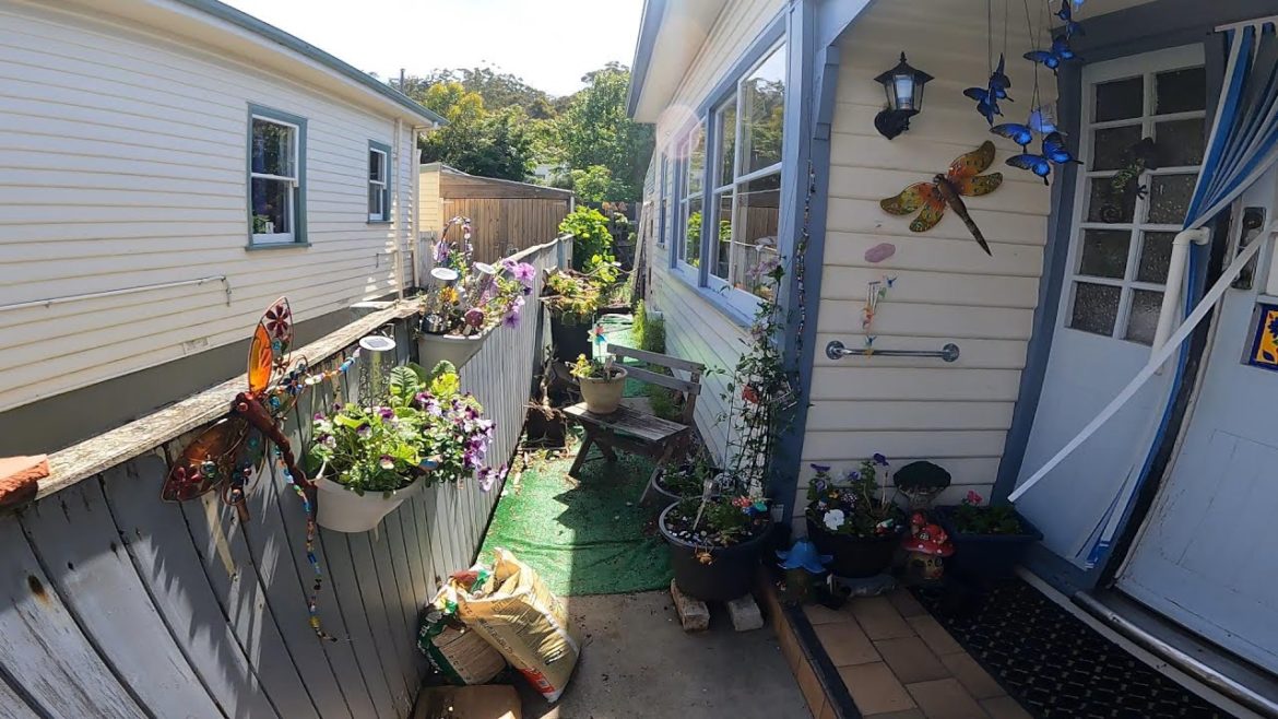 How is it even POSSIBLE to have so much STUFF in such a small AREA | Garden Transformation How is it even POSSIBLE to have so much STUFF in such a small AREA | Garden Transformation