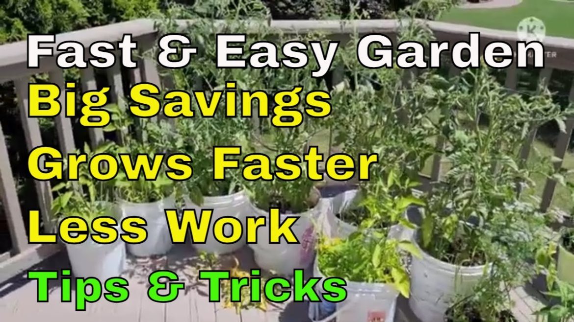Fast Growing Vegetable Garden - Bucket Garden Pros and Cons - Best Garden Tips and Tricks