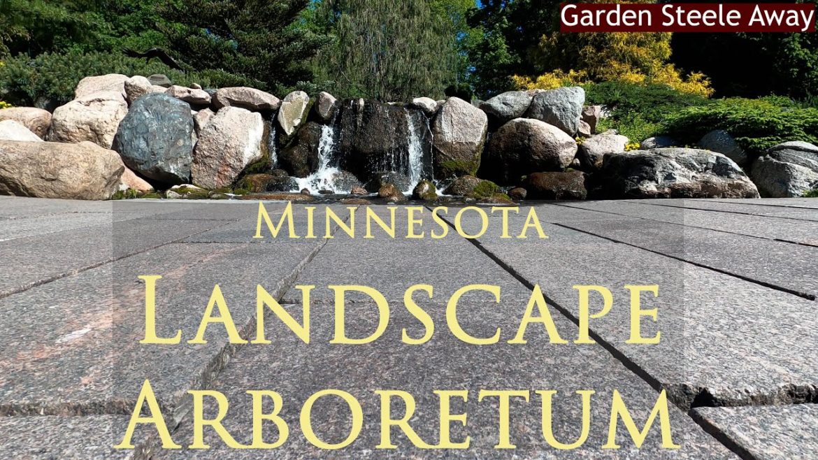 MN Landscape Arboretum