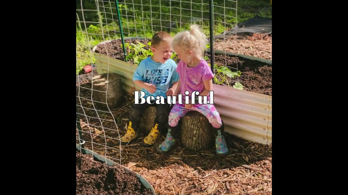 RAISED BED Vegetable Gardening For Beginners -OLLEUSA com