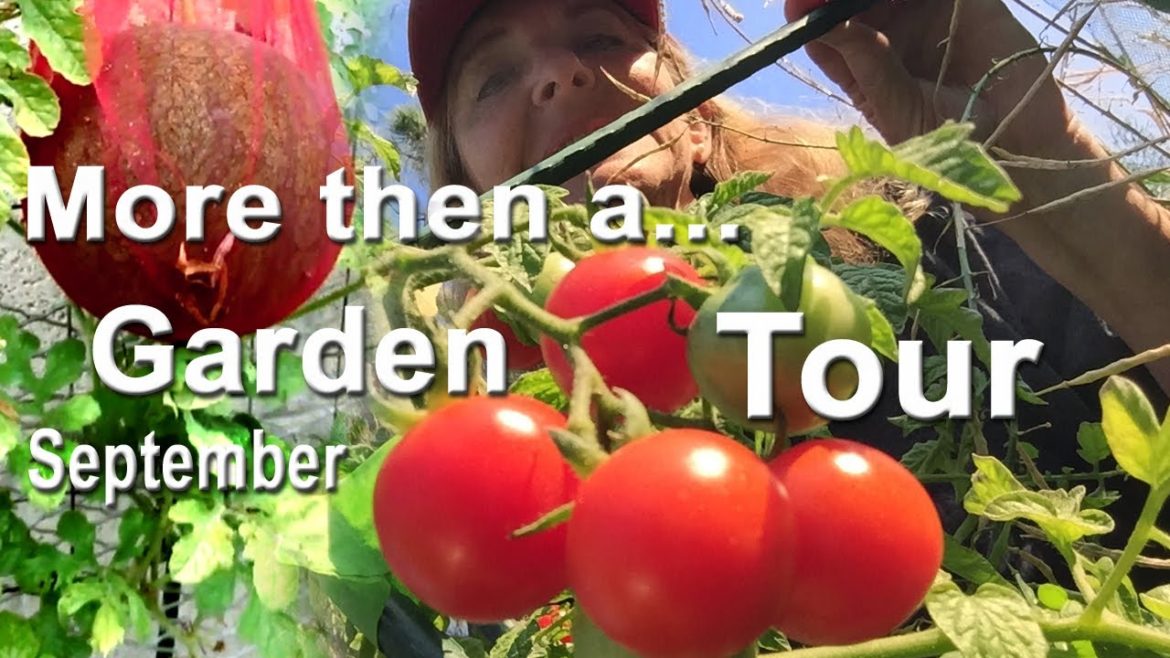 Garden Tour Growing Tips Ground & Container Gardening with Nature Grow Food Easy Peppers Tomatoes Garden Tour Growing Tips Ground & Container Gardening with Nature Grow Food Easy Peppers Tomatoes