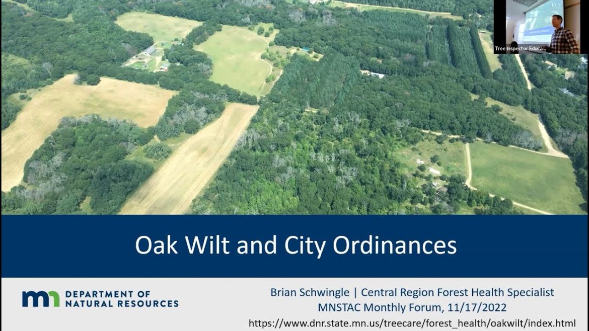 Oak Wilt and City Ordinances