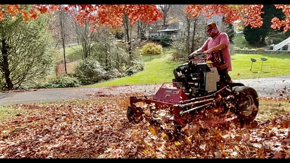 ITS TIME TO MOW UP SOME MAPLE LEAVES! ITS TIME TO MOW UP SOME MAPLE LEAVES!