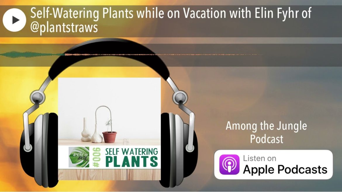 Self-Watering Plants while on Vacation with Elin Fyhr of @plantstraws